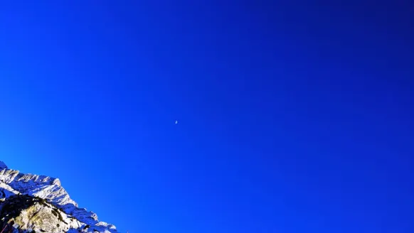 Bet Rocker Casino Support